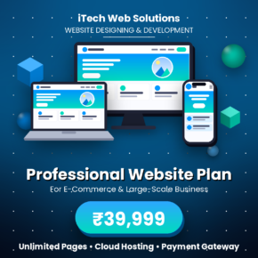 For medium-scale and large-scale businesses, or new startups, go for our Professional Website Development Plan (For E-Commerce & Large-Scale Business)